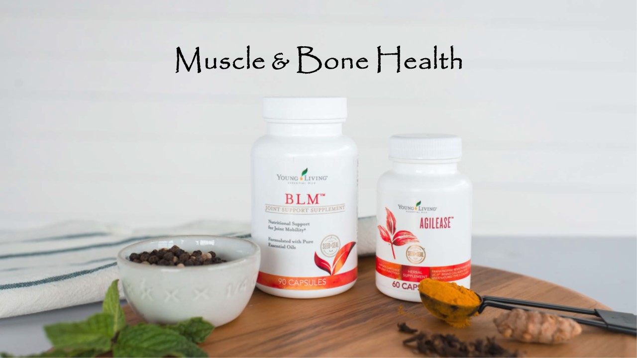 Muscle & Bone Health